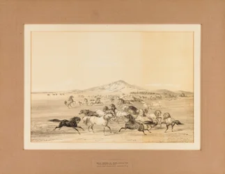 Wild Horses at Play--no. 3