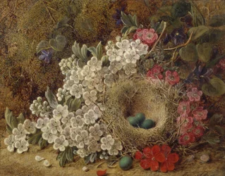 A birds nest and blossom on a mossy bank