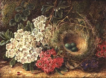 Still Life with Bird