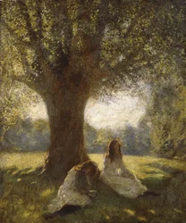 A Shady Spot