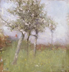 Apple Blossom