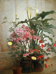 Side of a Greenhouse, 1870-80
