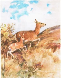 Tawny Turned and Fled, Urging Rusty to Follow Her