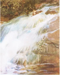 Throwing his head high in the air in a last act of defiance, he plunged into the waterfall