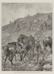 Trooper of the Imperial Light Horse Holding Chargers During an Attack