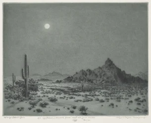 Arizona Night