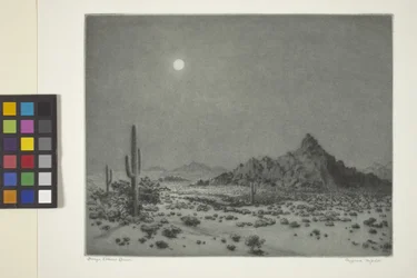 Arizona Night