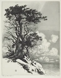 Coast at Monterey, California