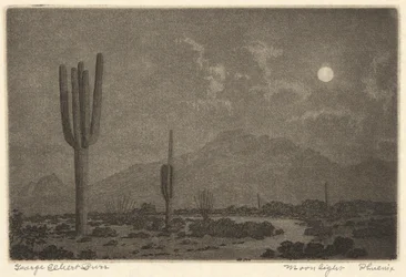 Moonlight-Phoenix