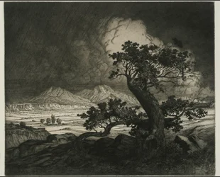 Old Cedars and Spanish Peaks