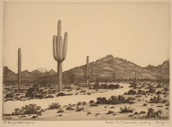 Road to Paradise Valley, Arizona