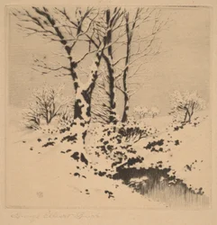 Snow