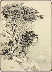 Untitled (drawing for print)