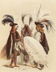 The Zulu army