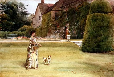 On the Lawn