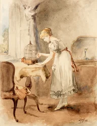 Feeding the Canary
