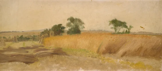 Study of a Cornfield