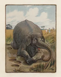 The Elephant