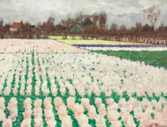 Hyacinth Fields