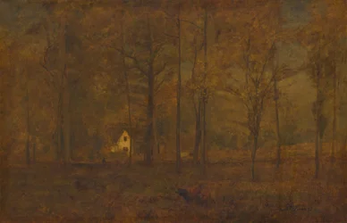 Autumn Woods