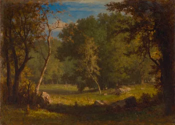 Elf Ground