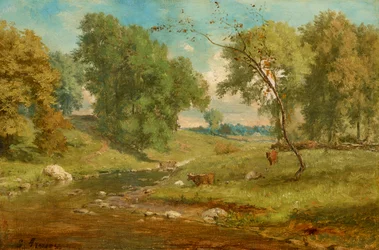 In the Meadow