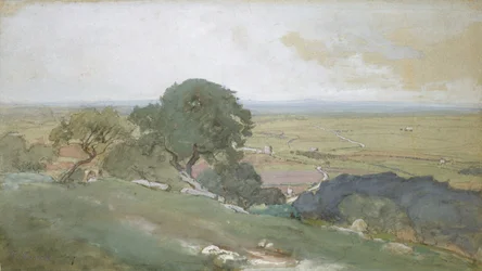 Olive Trees at Tivoli