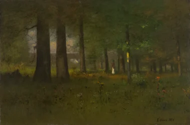 The Edge of the Forest
