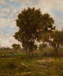 The Elm Tree