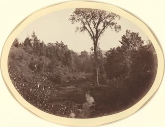 Landscape near Williams College