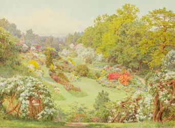 Spring Blooms