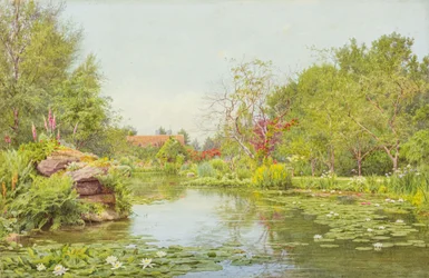 The Lily Pond