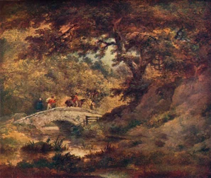 A Woodland Scene