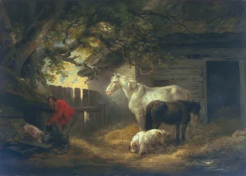 A Farmyard