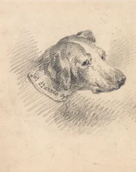 Head of a Hound