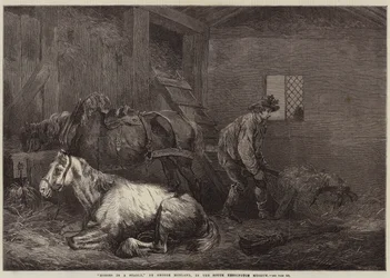 Horses in a Stable