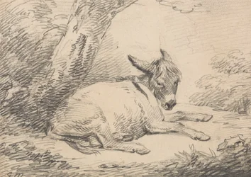 Study of a Donkey Under a Tree