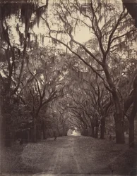 Bonaventure Cemetery, Four Miles from Savannah