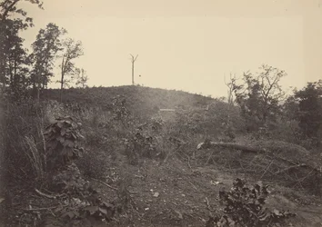 Pine Mountain