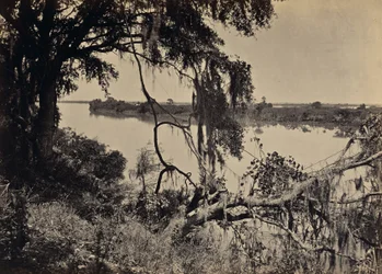 [Savannah River, Near Savannah, Georgia]