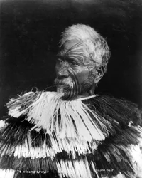 Te Hinote Kawau, c.1860-71