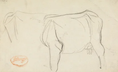 Study of a Cow