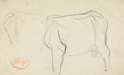 Study of a Cow