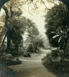 Pathway in the Queens Park, Brisbane, Australia