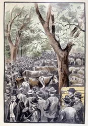 The Crowd Was Already Crowding the Place of the Competition (page 259) in 