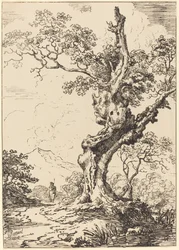 Study of an Old Oak Tree, Water on Right, a Man on Left