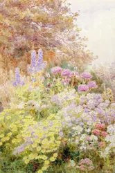 Anthemis, Poppies and Larkspur