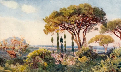 Between the mountains and the sea