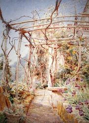 Irises under the pergola