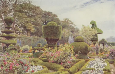 Levens, Roses and Pinks